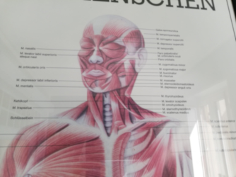Fisioterapia Professionalità